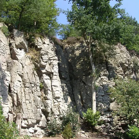 B'o - B'o Thermal & 4*