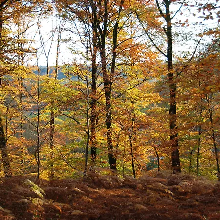 B'o - B'o Thermal & Resort