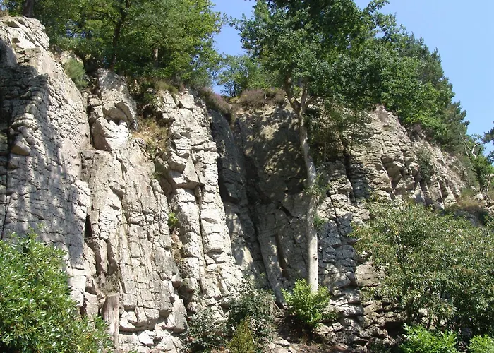 B'o - B'o Thermal & 4*