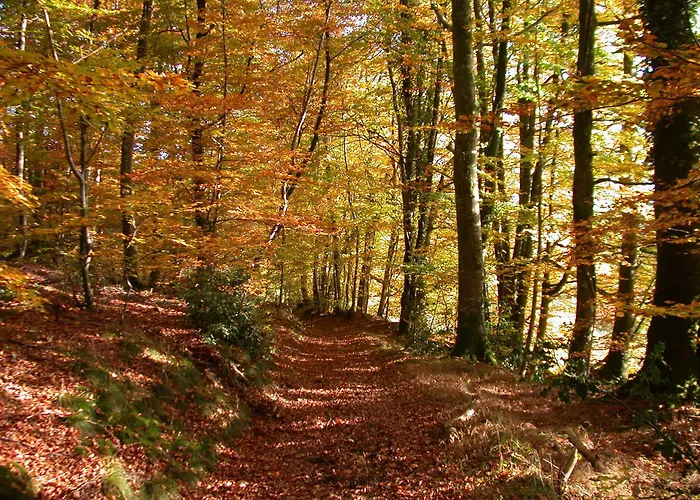 B'o - B'o Thermal & Ośrodek wypoczynkowy 4*