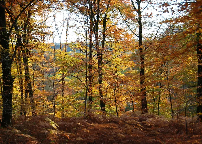 B'o - B'o Thermal & Ośrodek wypoczynkowy